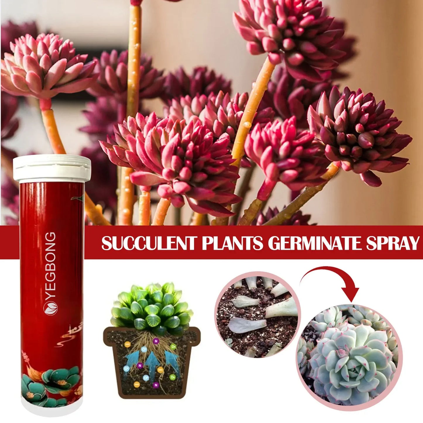 Plant Fertilizer  Tablet 18 pcs
