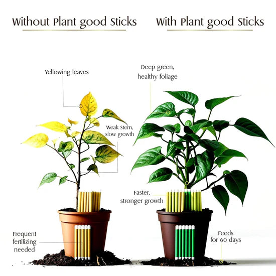 Fertilizer Sticks Boosts Growth & Yield | For Indoor & Outdoor Plants | Easy-to-Use | 30+Sticks Pack