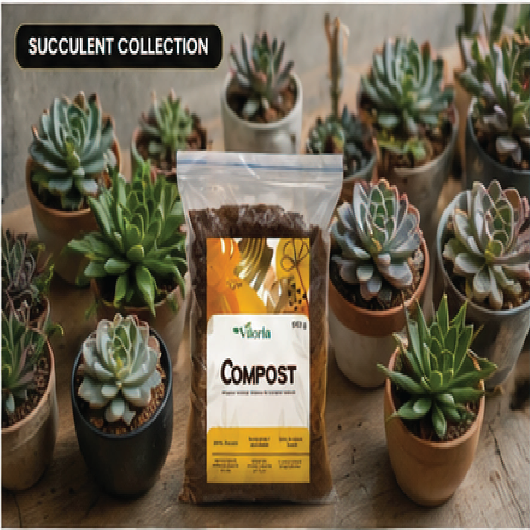 VILORIA Premium Organic Compost for Indoor & Outdoor Plants