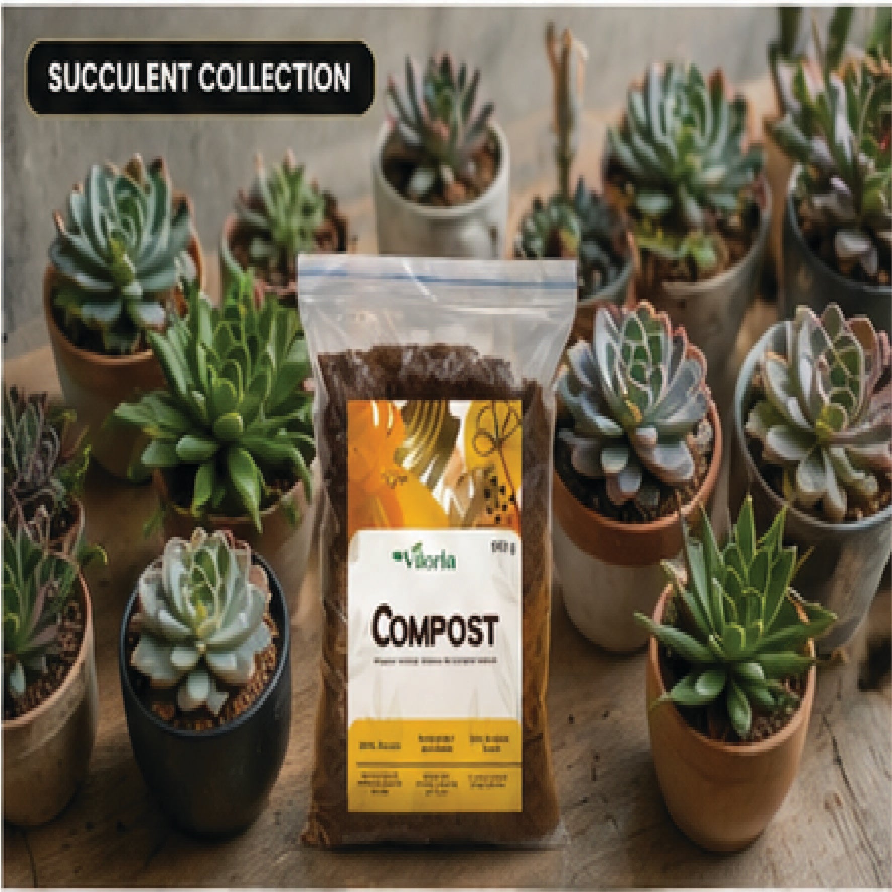 VILORIA Premium Organic Compost for Indoor & Outdoor Plants