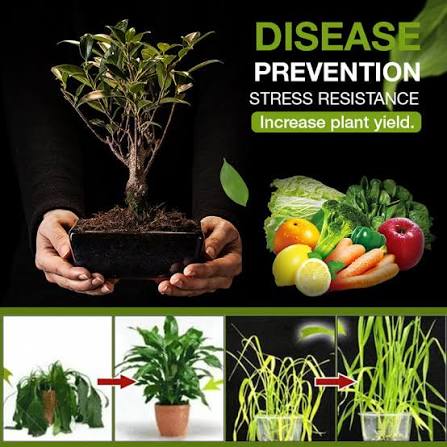 Soil Activated Treasure You Will Be Amazed