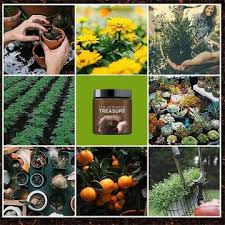 Soil Activated Treasure You Will Be Amazed