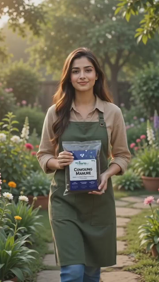 VILORIA  Cow Dung Manure